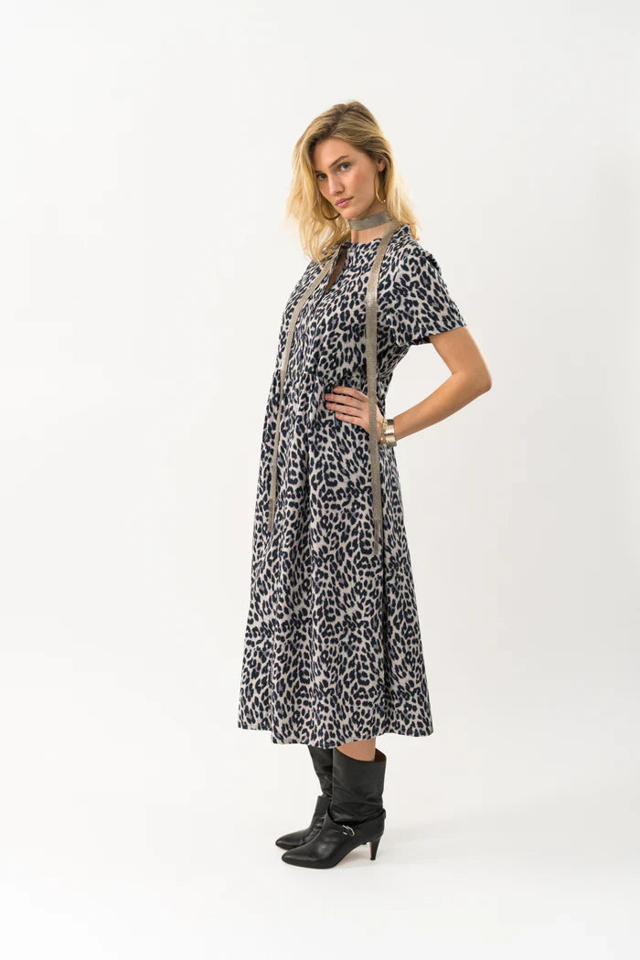 Aliya Maxi Dress Leopard